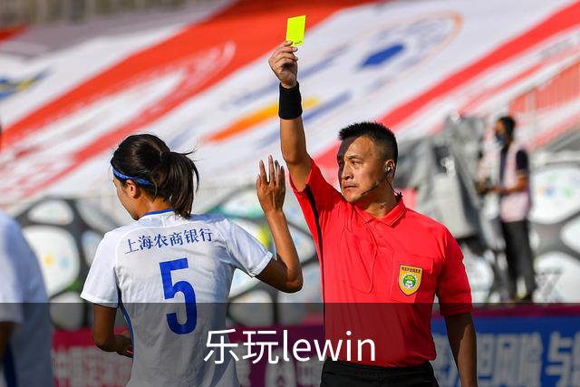 乐玩lewin公司简介配图