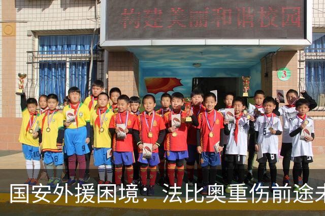国安外援困境：法比奥重伤前途未卜，球队面临严峻挑战