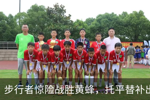 步行者惊险战胜黄蜂，托平替补出战展现火力